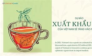 Chè Xuất Khẩu Việt Nam