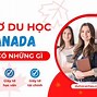 Du Học Trung Học Ở Canada Cần Những Gì Để Xin Visa Mỹ