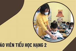 Giáo Viên Tiểu Học Hạng 2 Có Mấy Bậc Lương