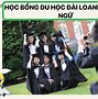 Hệ Ngôn Ngữ Đài Loan 2022 Pdf Free Download Download