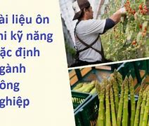 Thi Tokutei Nông Nghiệp Ở Việt Nam